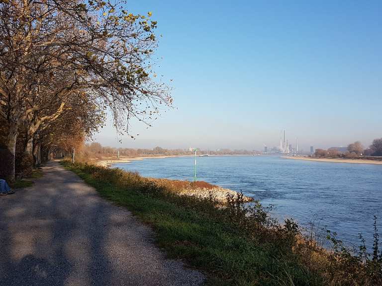 Gasthaus Rheinblick Niederrhein Regierungsbezirk Dusseldorf Radtouren Tipps Fotos Komoot