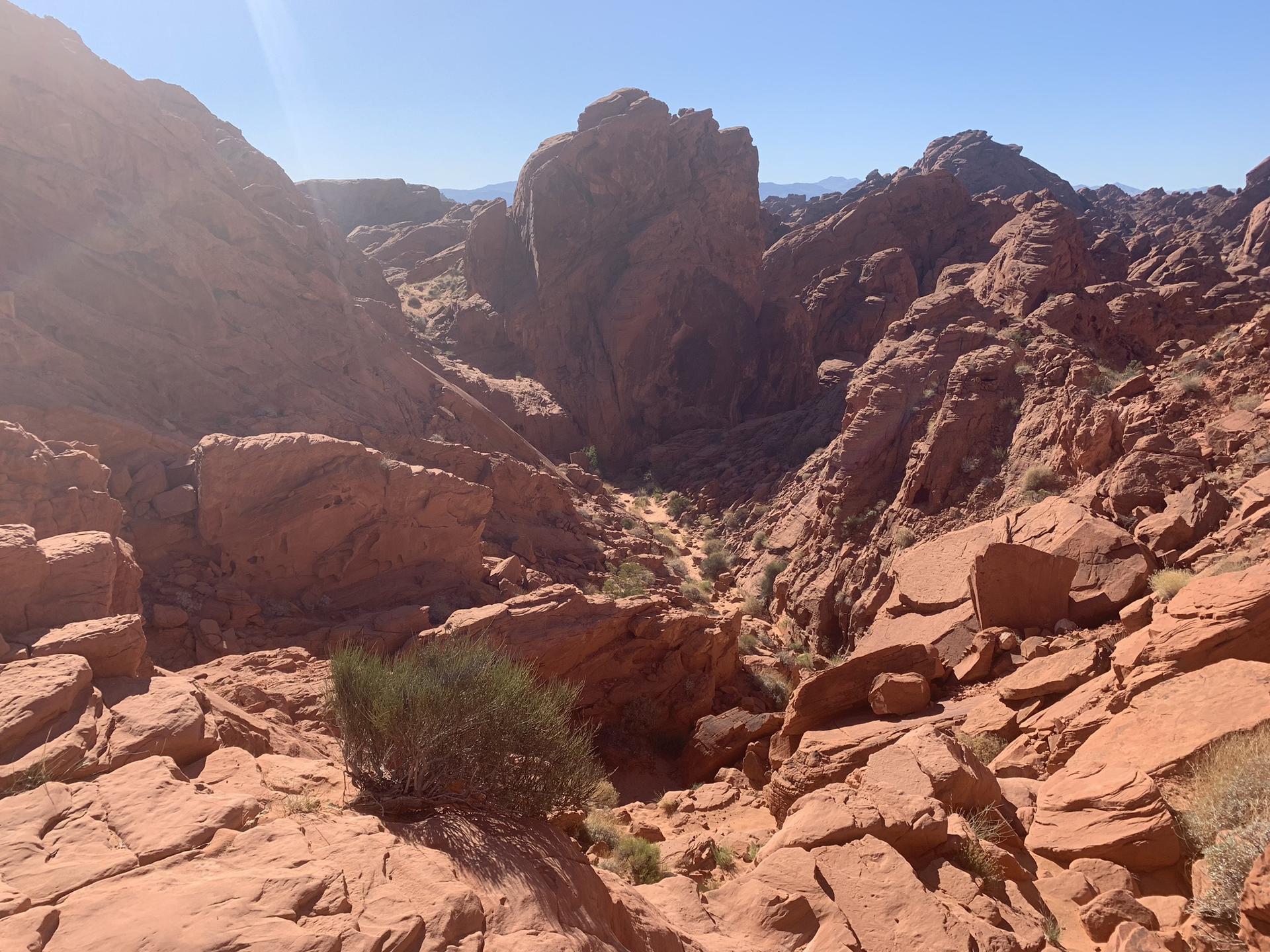Deep canyon with red rock walls and sparse desert vegetation under bright sun.