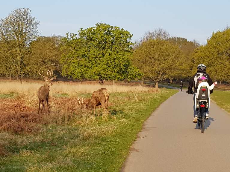 Richmond Park Cycle Routes and Map Komoot