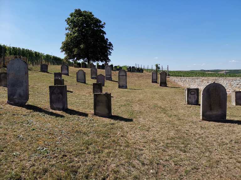 Jüdischer Friedhof Flonheim Routes for Walking and Hiking | Komoot