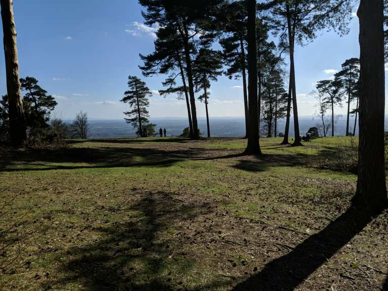 Leith Hill Routes for Walking and Hiking Komoot