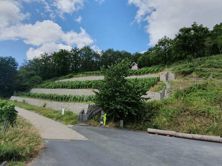 Geschichtsweinberg Iphofen Wandelroutes En Hikes Komoot