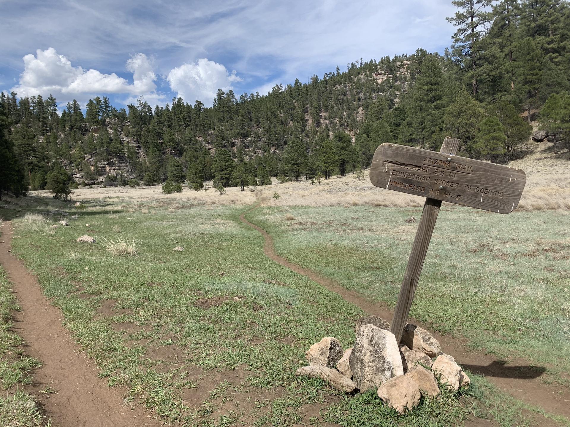 Dirt path through a grassy meadow with a wooden sign and distant forest.