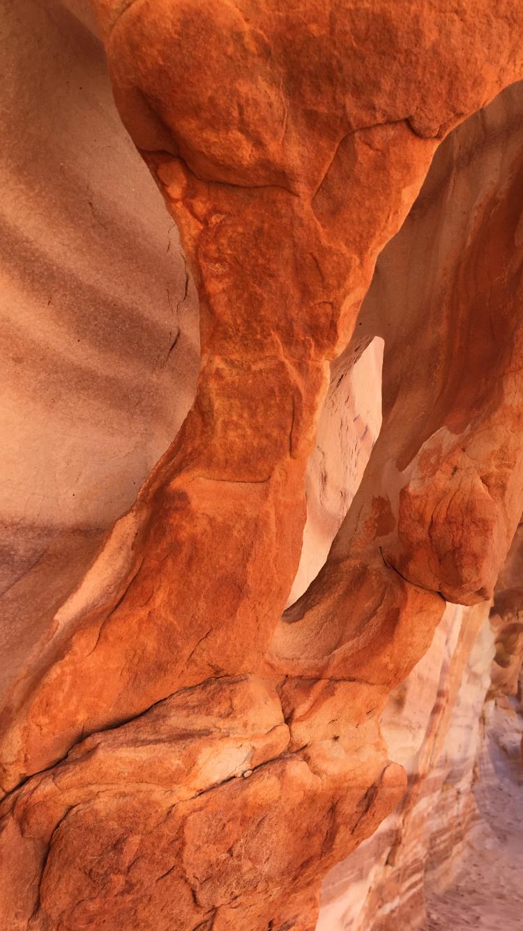 Close-up of naturally sculpted, smooth red and orange rock formations.