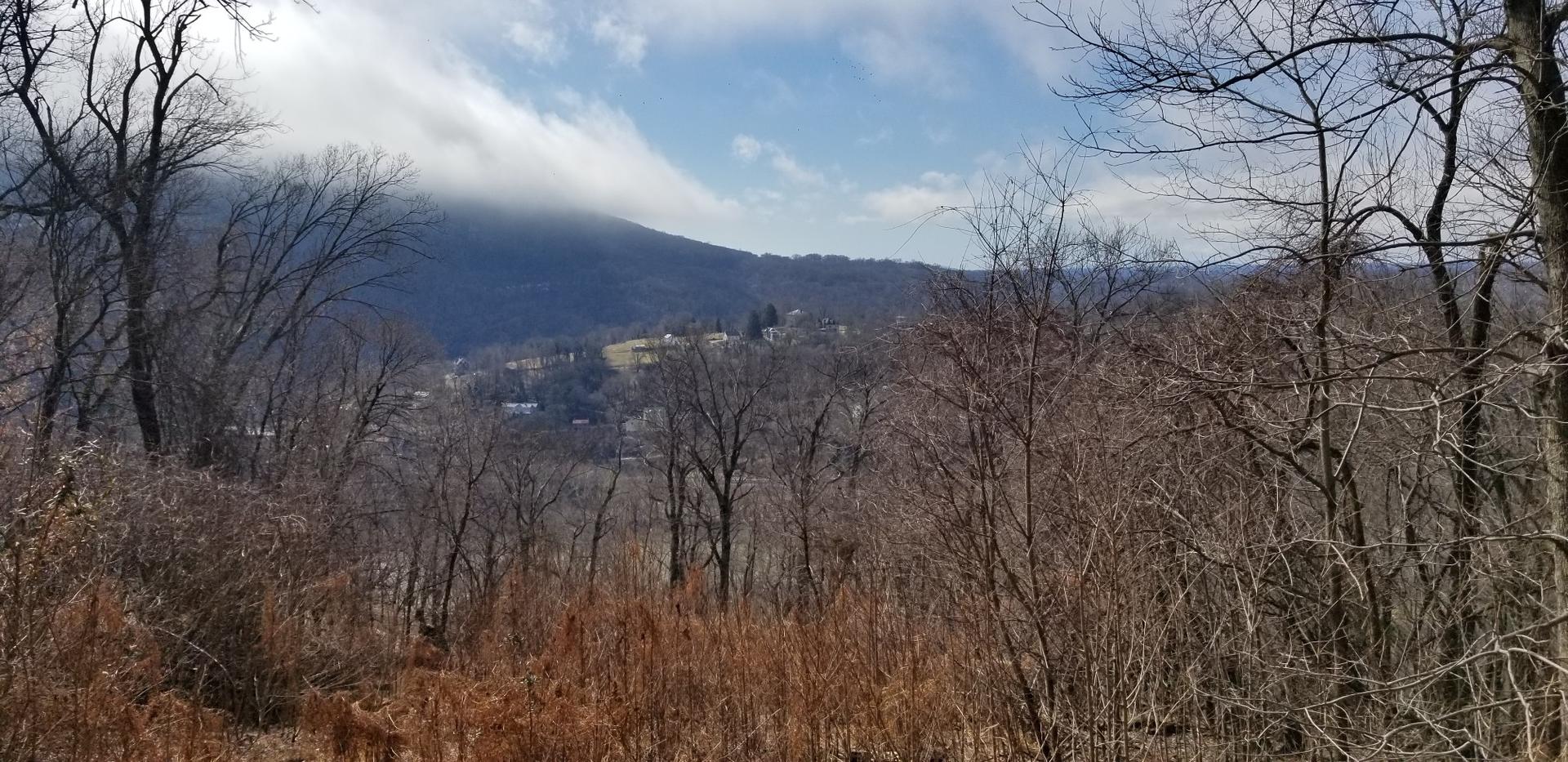 Bare trees frame a cloudy mountain vista with a distant town.