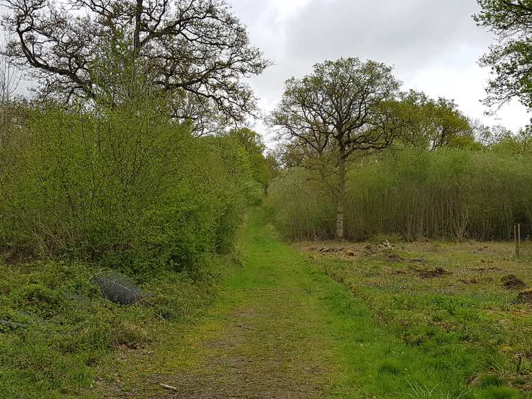 Grafton Woods (Nature Reserve) Routes for Walking and Hiking Komoot