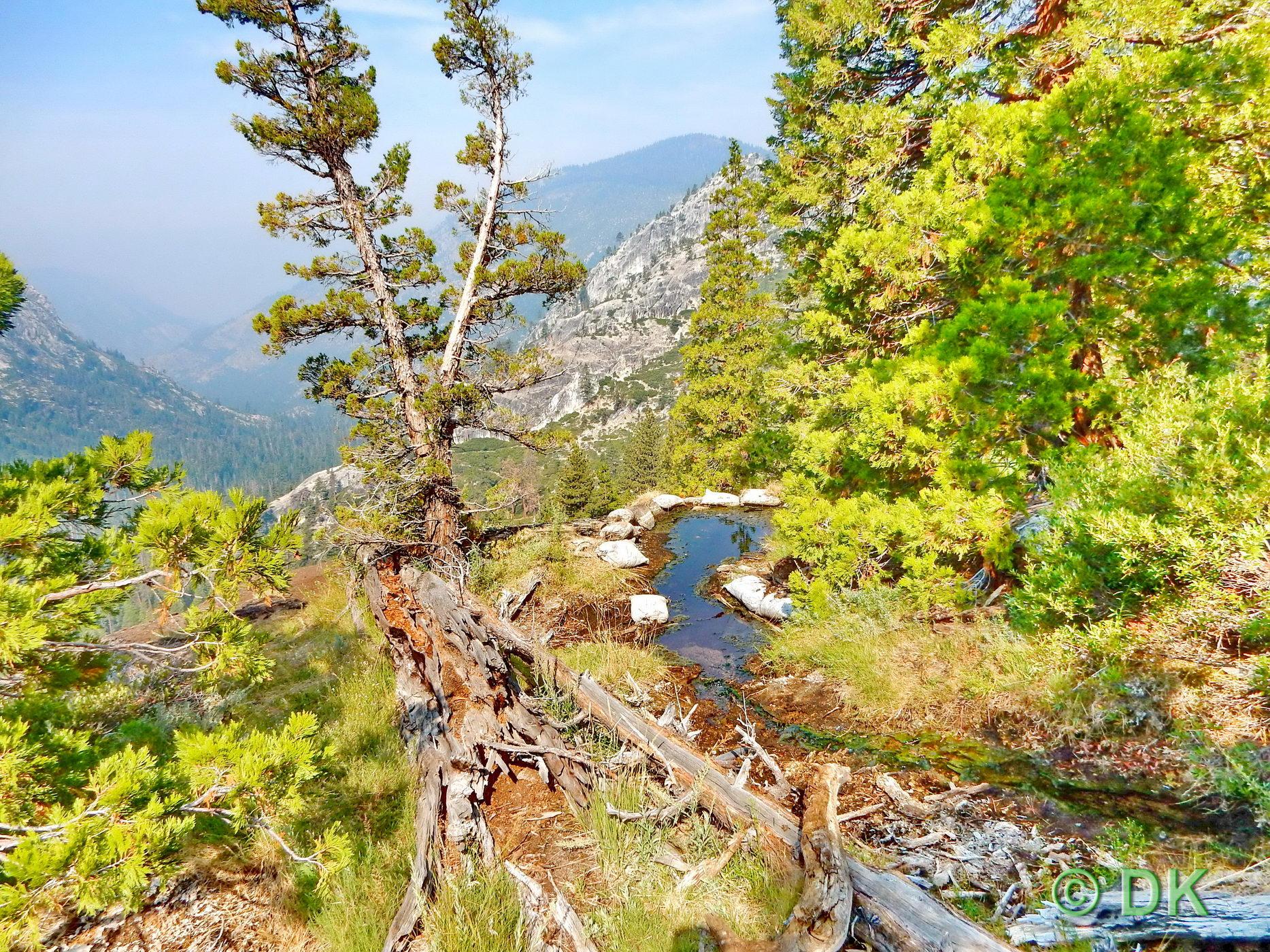 A small pool of water on a rocky ledge, surrounded by green trees and mountains.