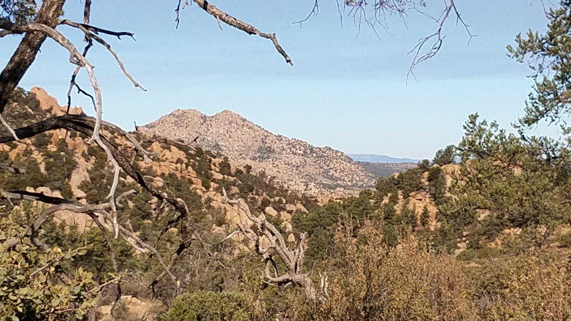 Rocky mountains and arid trees under a clear sky.