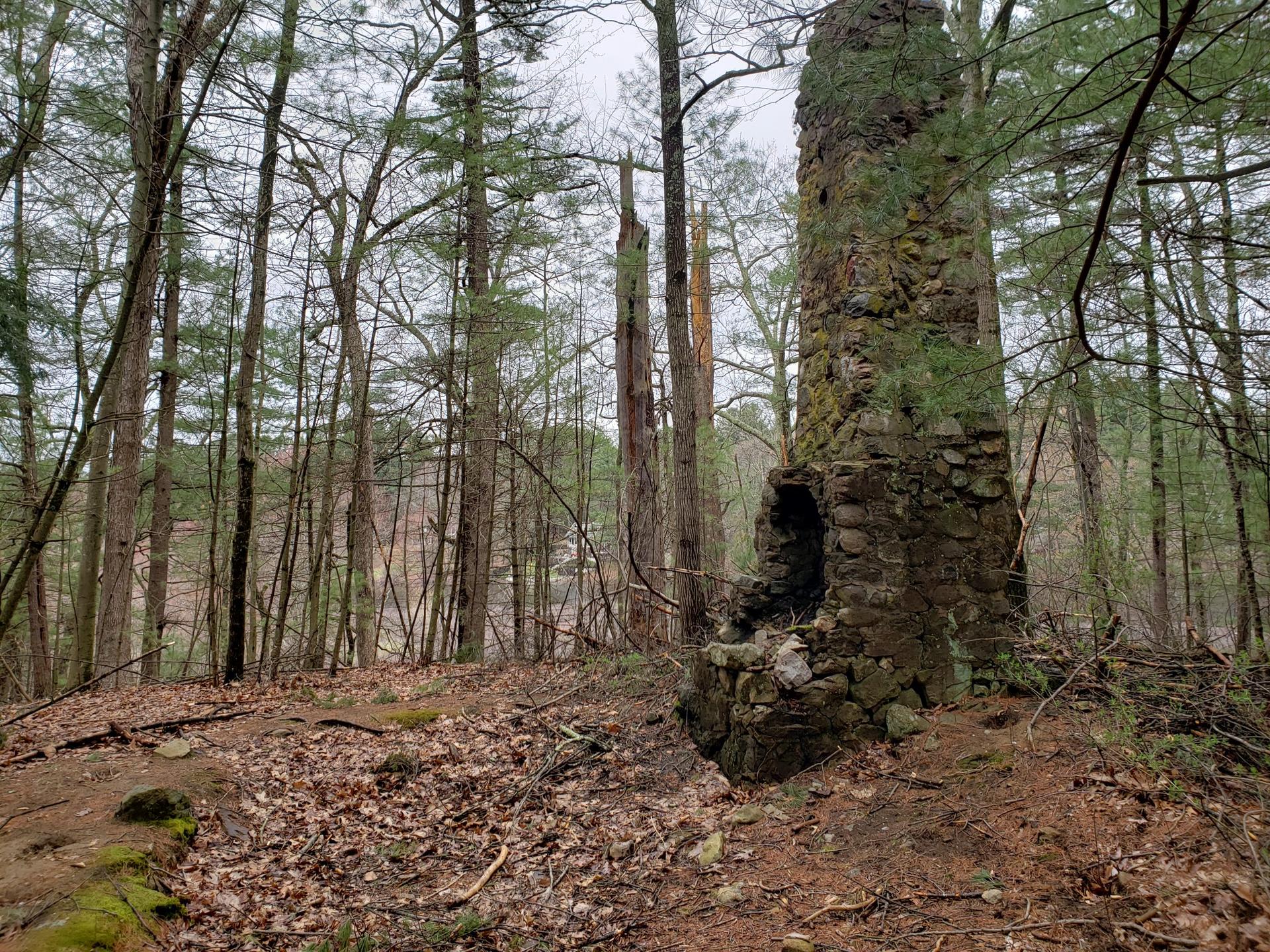 An old stone chimney ruin stands in a dense, overcast forest.