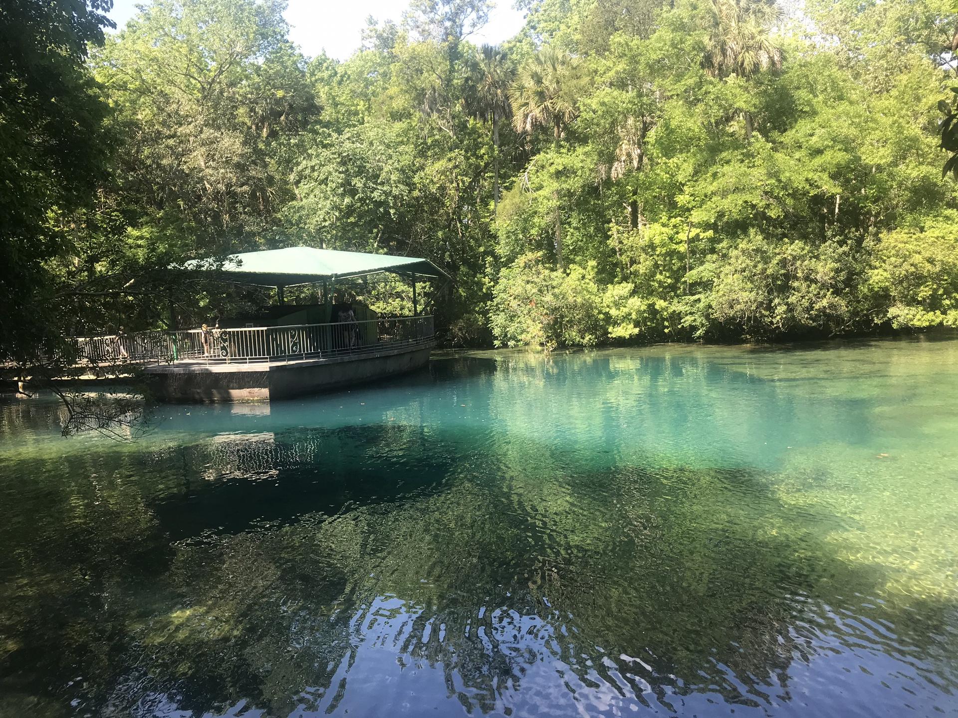 Covered boat dock on clear turquoise water surrounded by lush green trees.