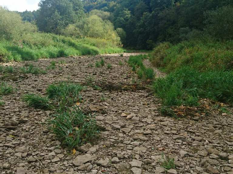 Donauversickerung Wanderungen und Rundwege komoot
