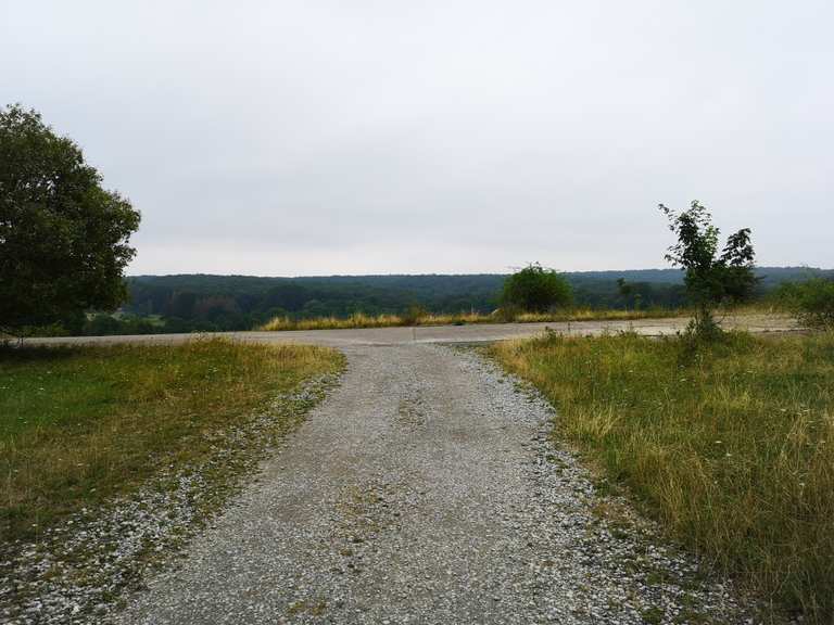 Kerstlingeröder Feld (Naturschutzgebiet im Göttinger Stadtwald