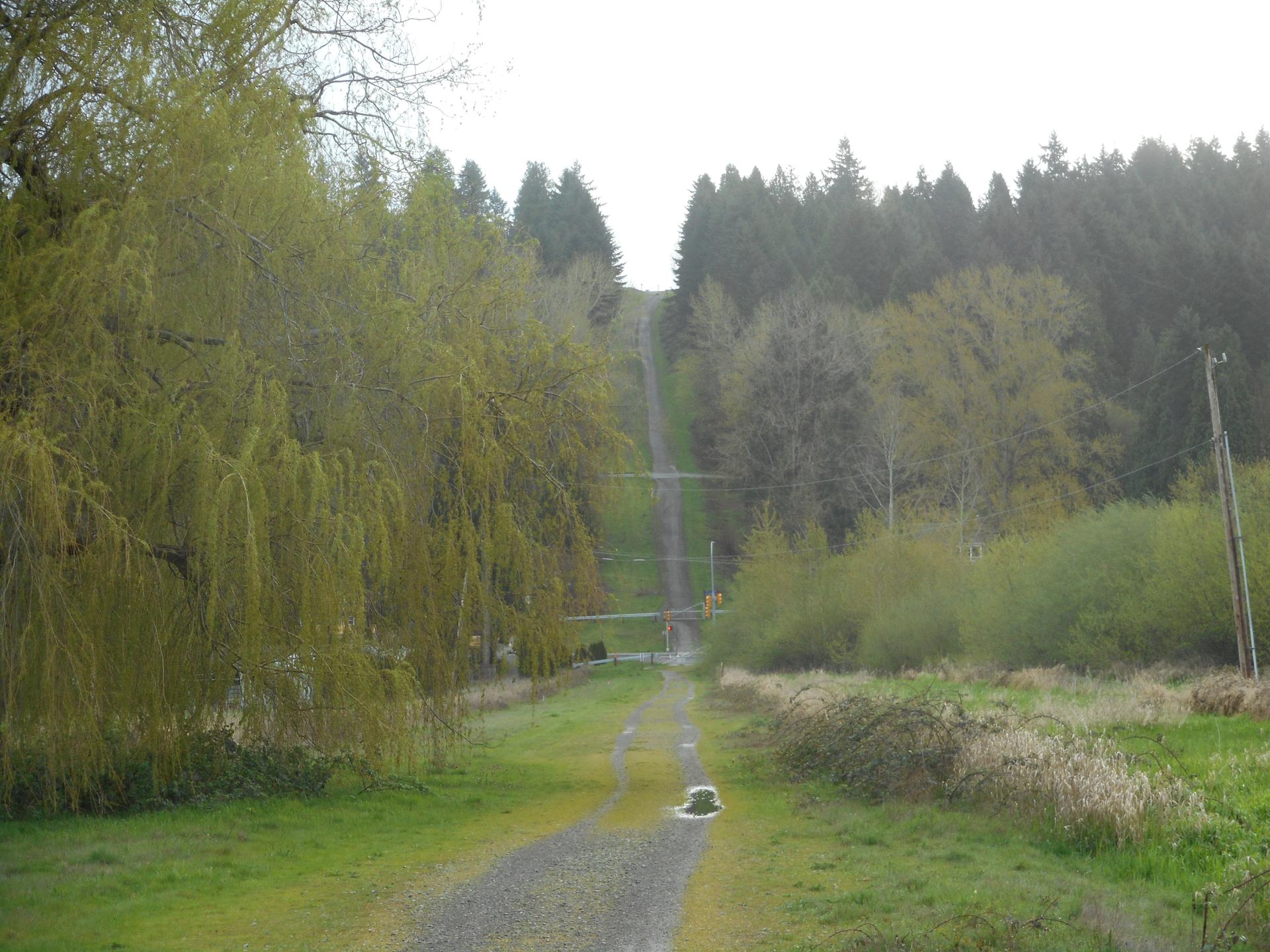 A gravel path leads uphill through a grassy clearing with power lines and trees.