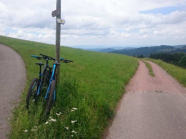 Johann Peter Hebel Haus Hausen Ausblick Wald Loop From Hausen