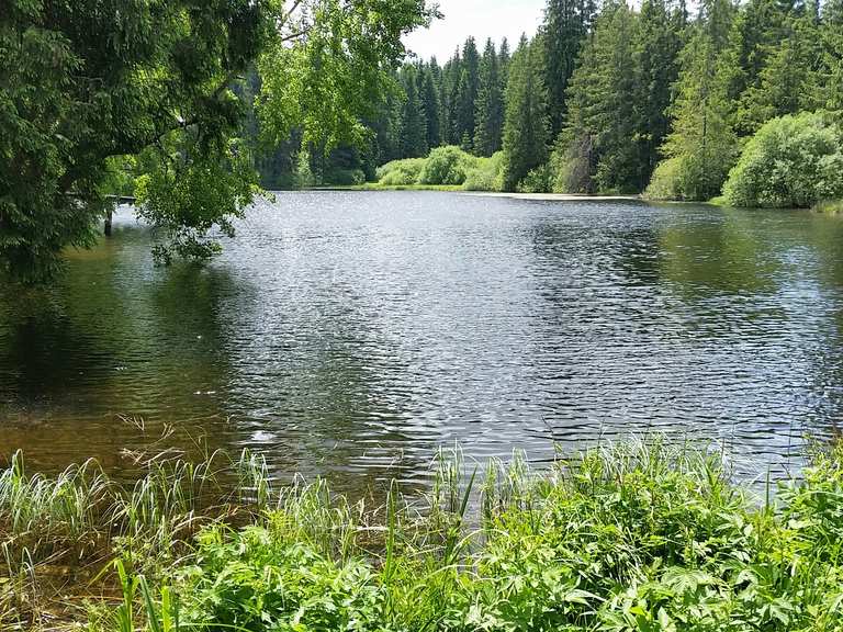 Ochsenbacher Teich MountainbikeTouren und Trails komoot