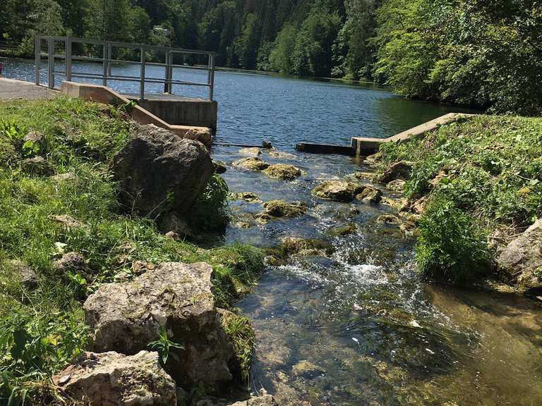 Schöngrundsee Wanderungen und Rundwege komoot