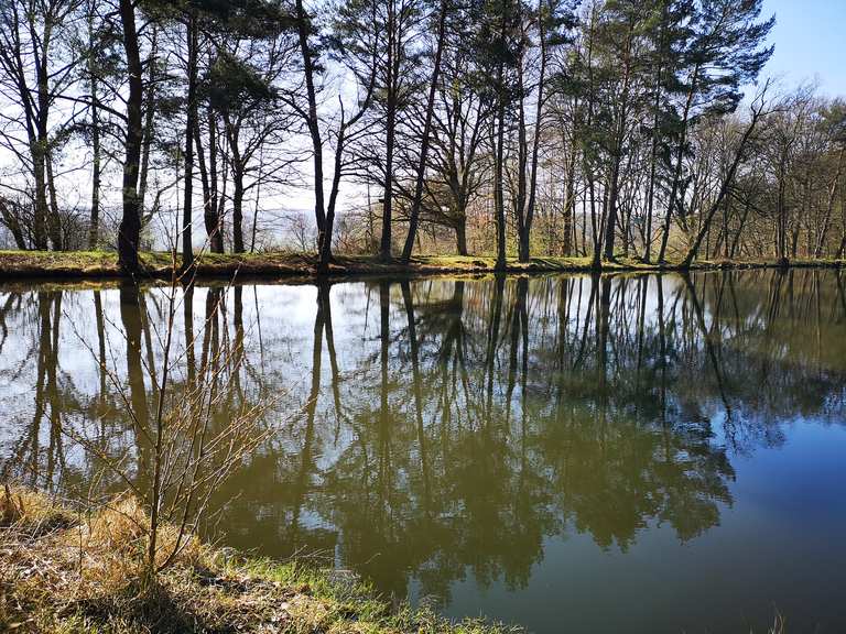 Grünwiesenweiher : Radtouren und Radwege | komoot