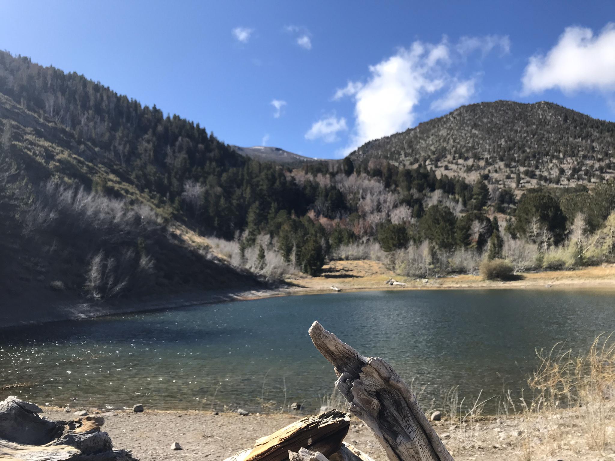 Serene mountain lake surrounded by forested slopes under a blue sky.