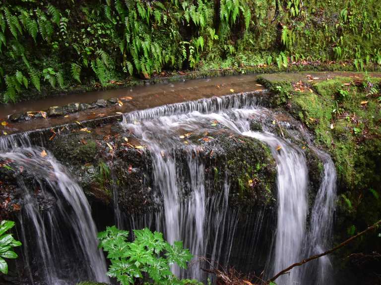 Levada Do Moinho: Madre Da Levada Routes For Walking And Hiking 