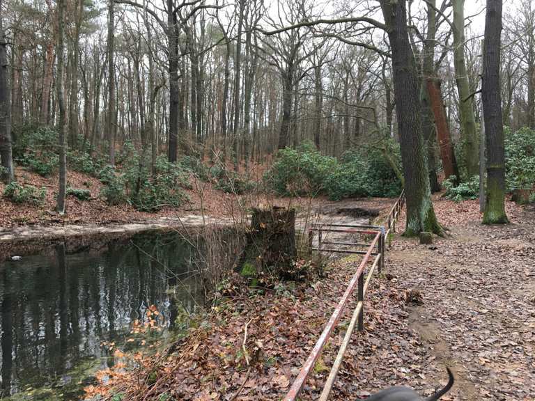 Schwarzes Teich Routes for Walking and Hiking Komoot