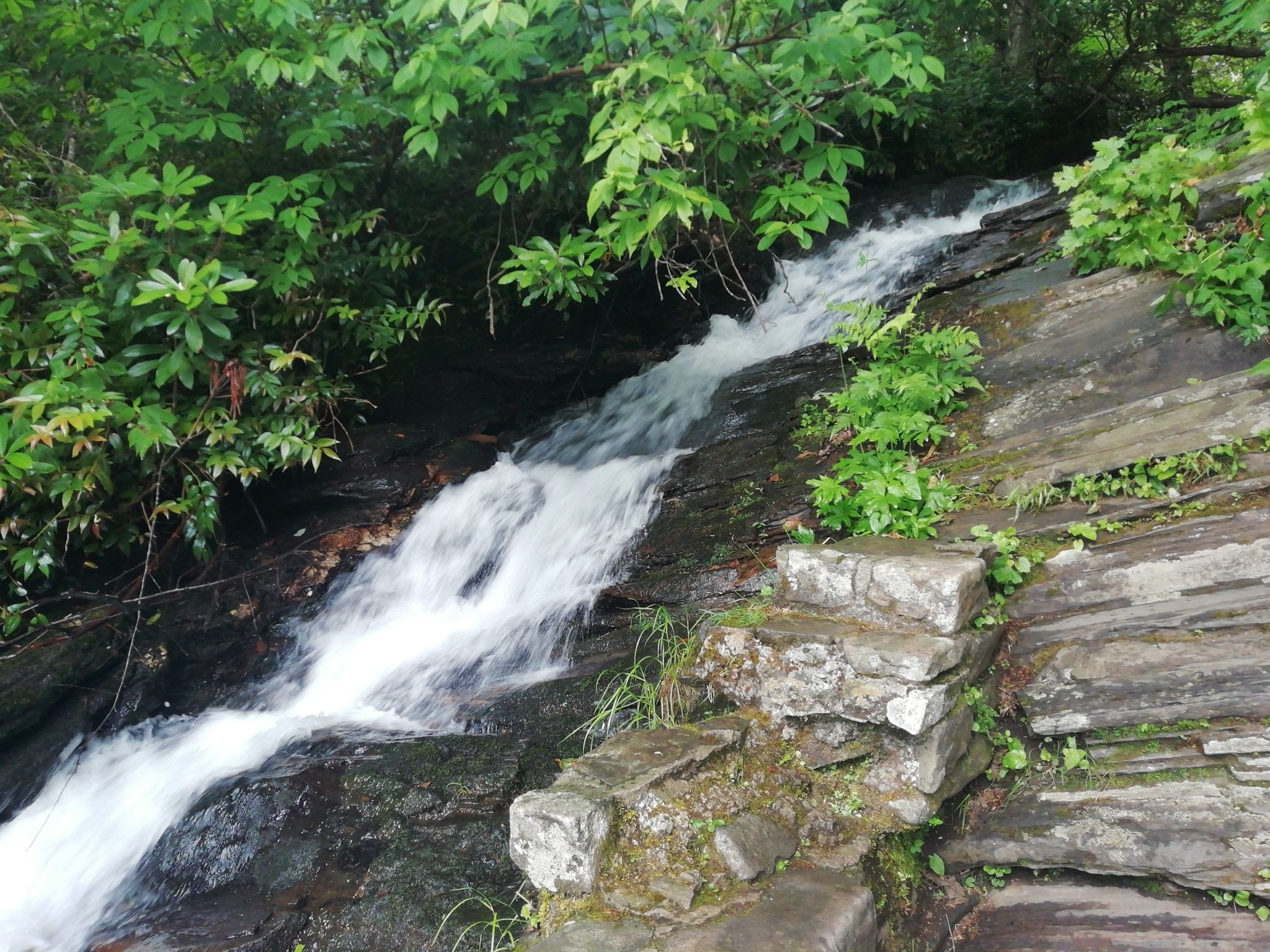 A small waterfall cascades over rocks next to green foliage and stone steps. - Cascades Trail