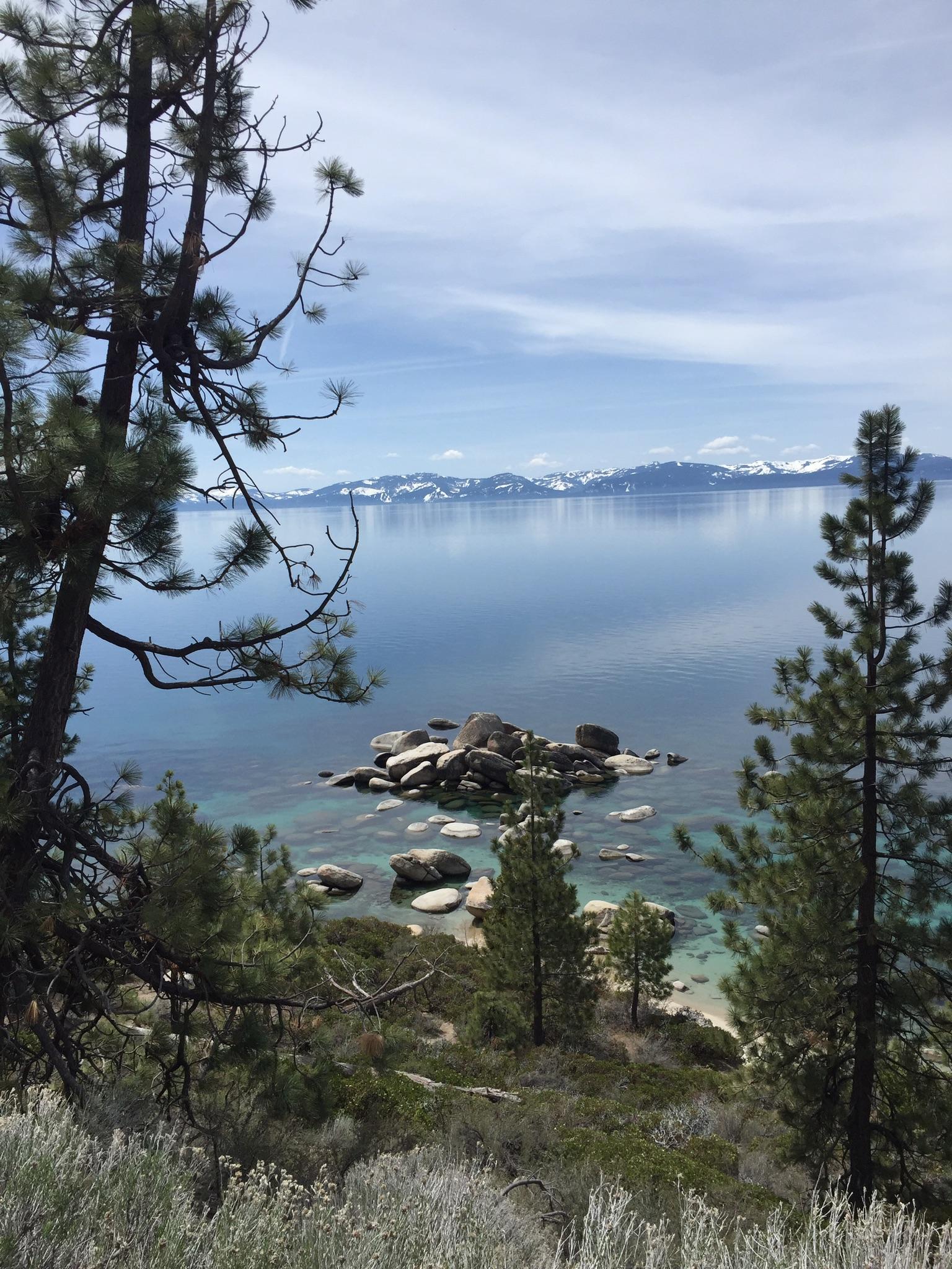 Clear lake with rocky island, distant snowy mountains, framed by pine trees.