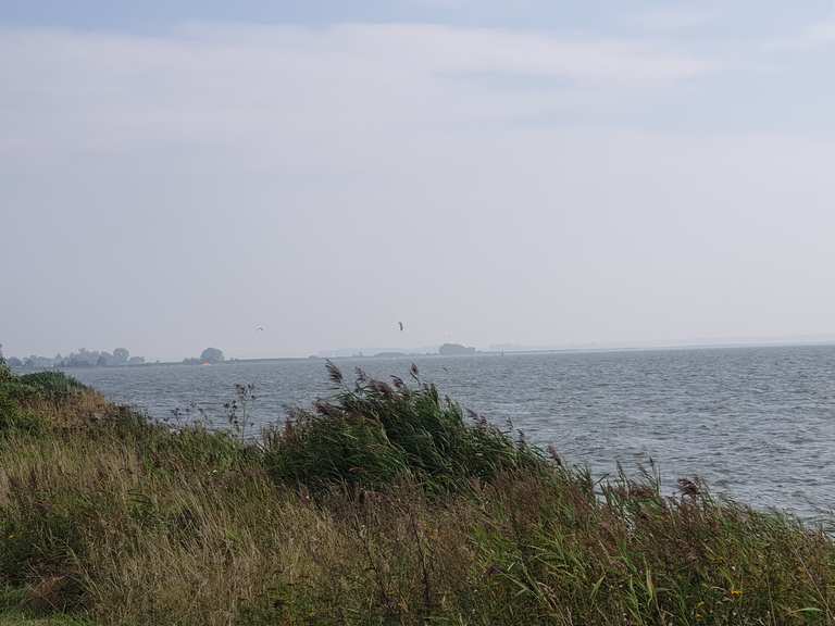 nationalpark vorpommersche boddenlandschaft fahrrad