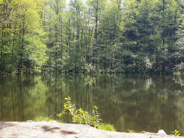 Grüner Teich Wanderungen und Rundwege komoot