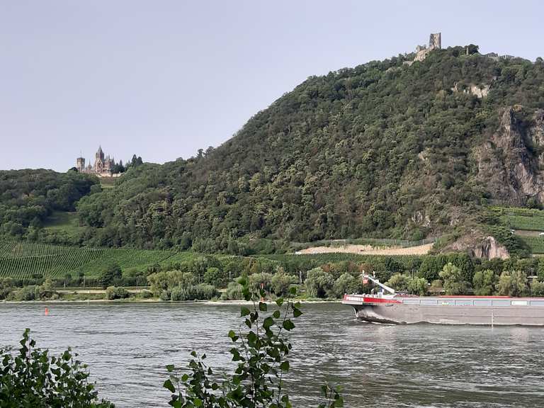 Blick auf den Drachenfels NordrheinWestfalen