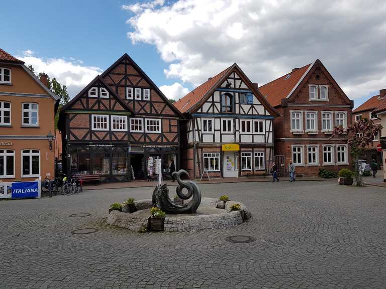 Fähre Hitzacker Elbe Runde von Hitzacker (Elbe