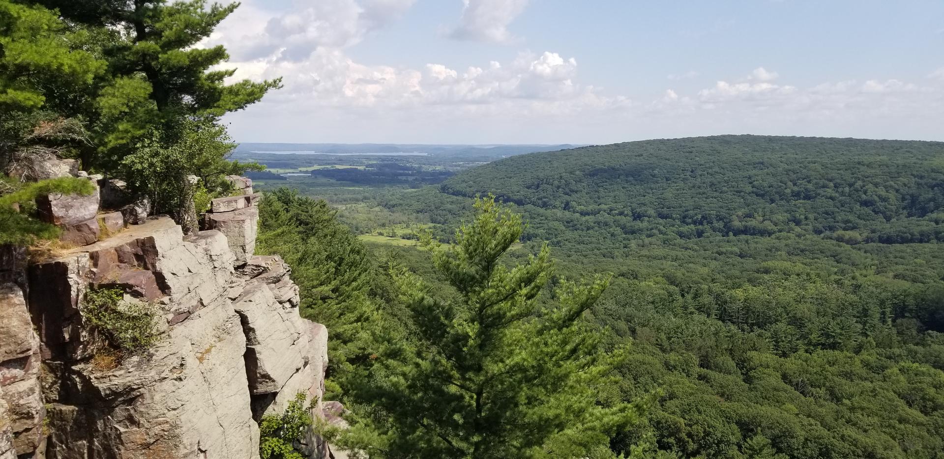 Rocky cliff edge overlooking a vast green forest under a cloudy sky.