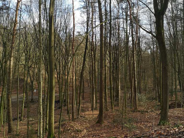 Wannestrasse Roadstop Runde Von Wittbraucker Strasse Wanderung