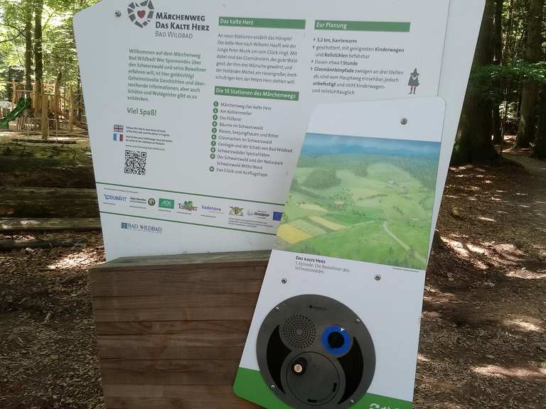 Marchenpfad Kaltes Herz Bad Wildbad Calw Wandertipps Fotos Komoot