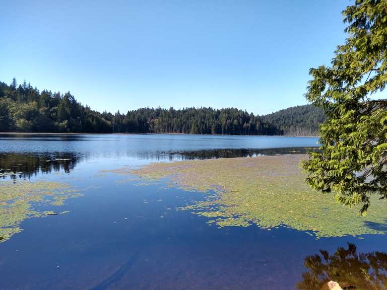 Killarney Lake loop — Bowen Island Ecological Reserve | Wanderung | Komoot