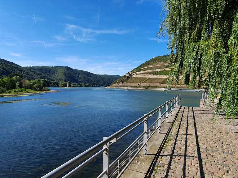 Rhein-Nahe-Eck in Bingen : Radtouren und Radwege | komoot