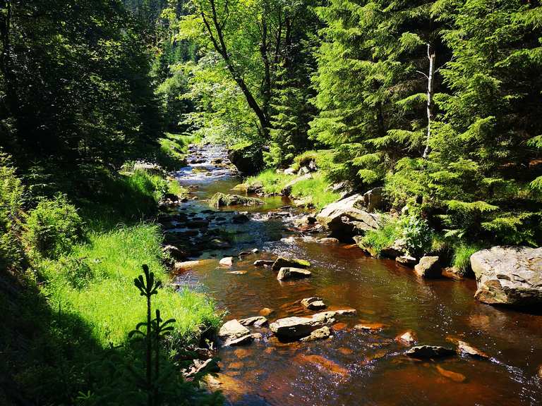 Nonnenfelsen Schwarzwassertal Runde von Pobershau Wanderung Komoot