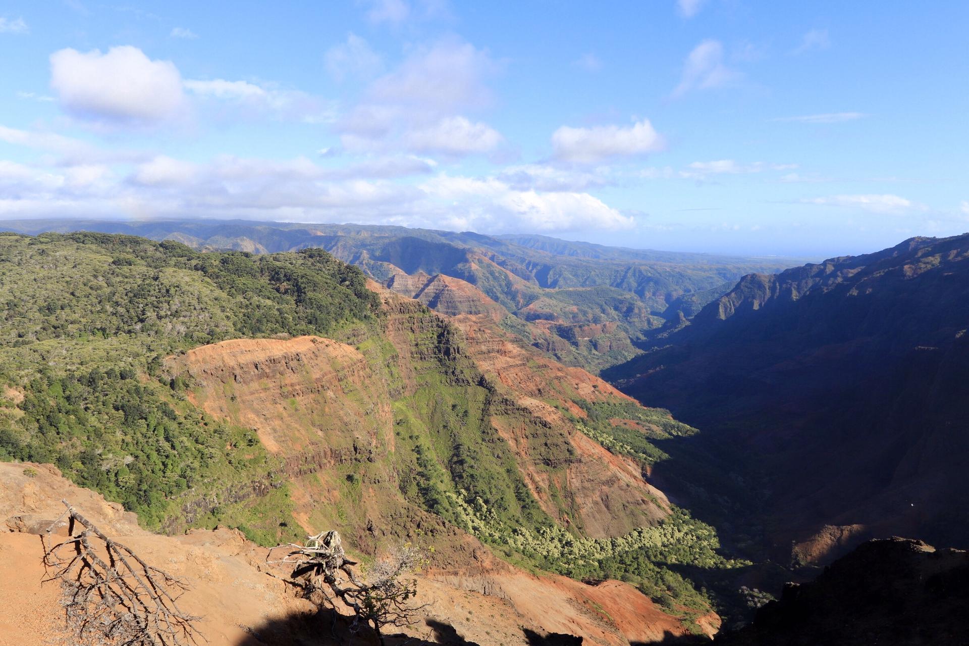 Vast canyon landscape with lush green and red earth under a bright sky.