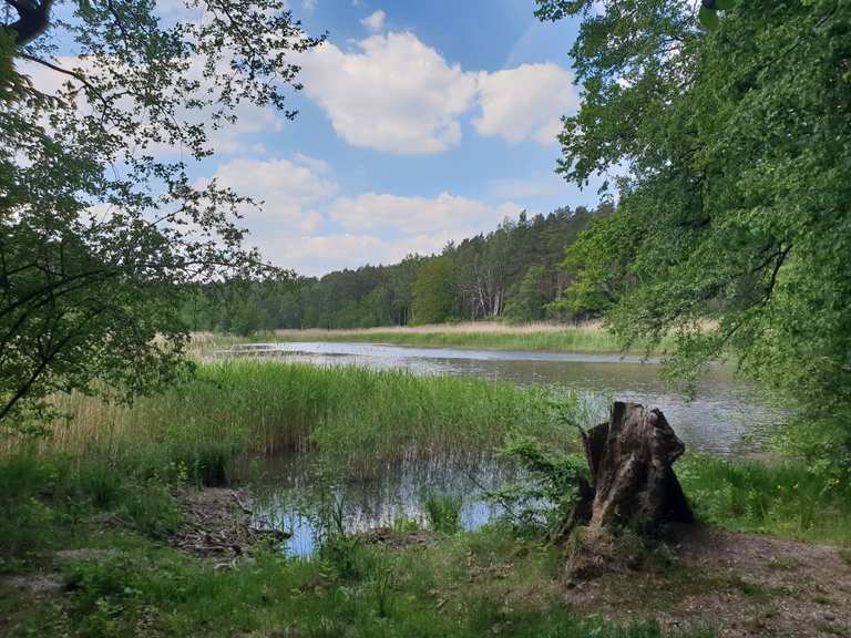 Heideteich Routes for Walking and Hiking | Komoot