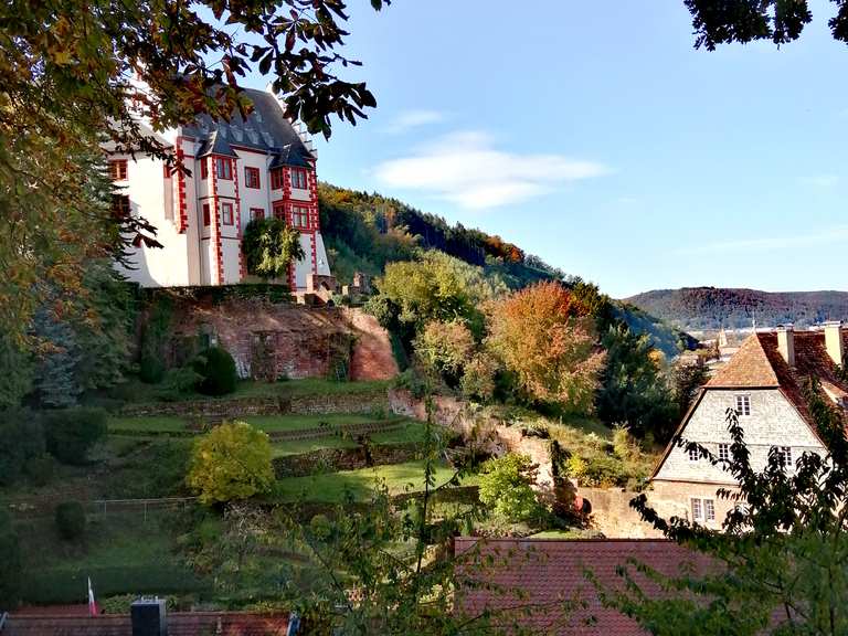 Mildenburg und Museum Burg Miltenberg Wanderungen und Rundwege komoot