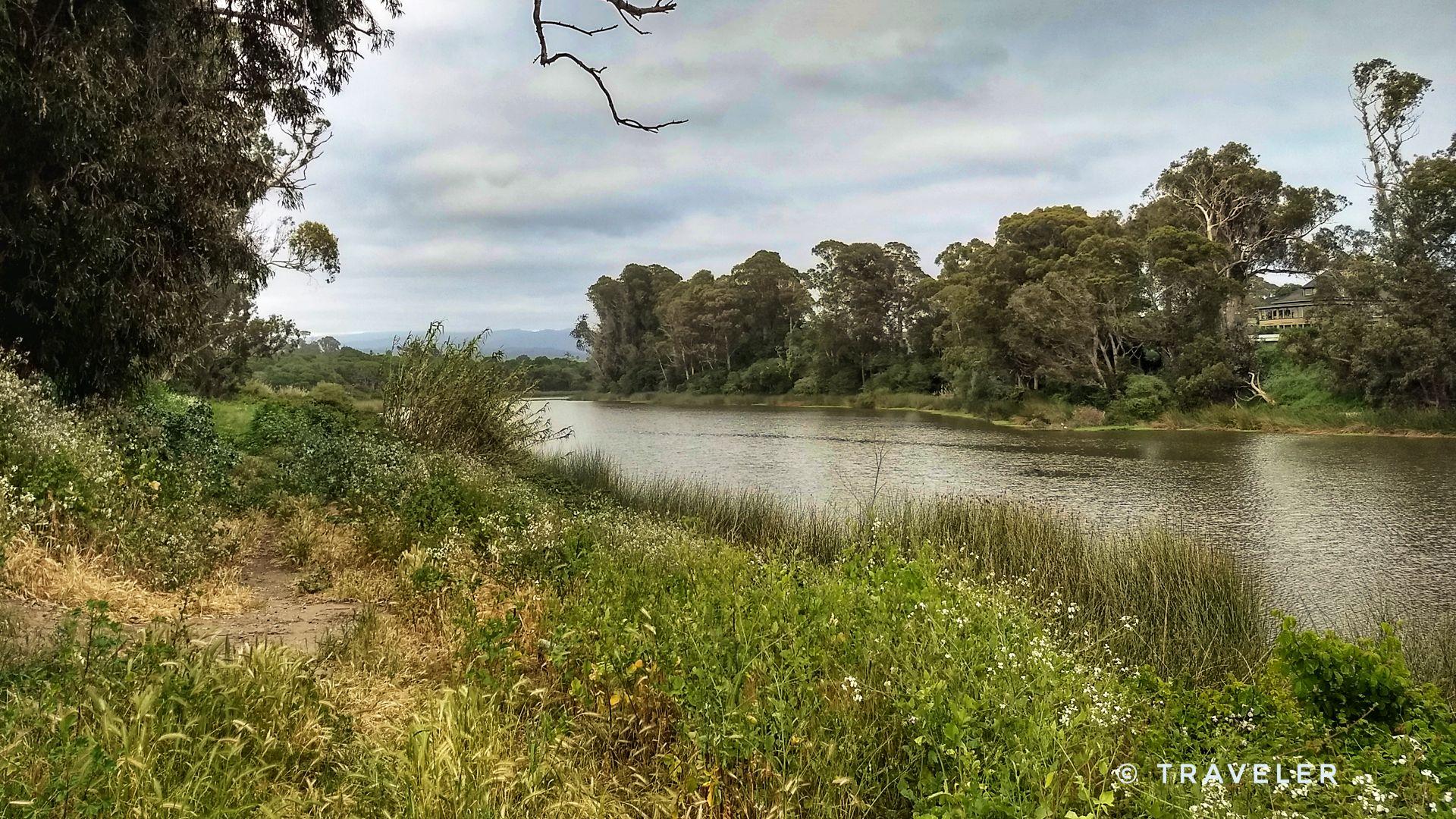Calm river flowing through a lush green landscape under a cloudy sky.