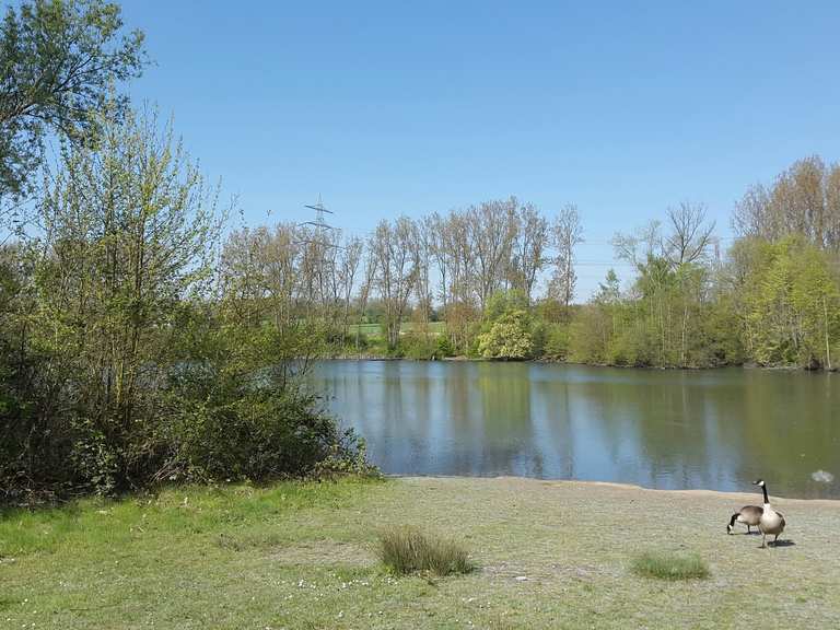 Harpener Teiche Radtouren und Radwege komoot