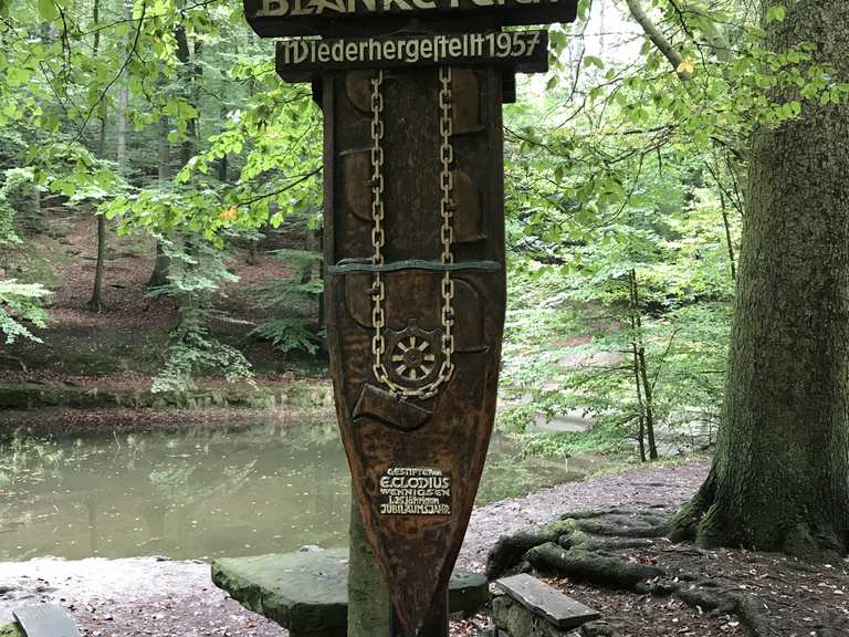 BlankeTeich Routes for Walking and Hiking Komoot