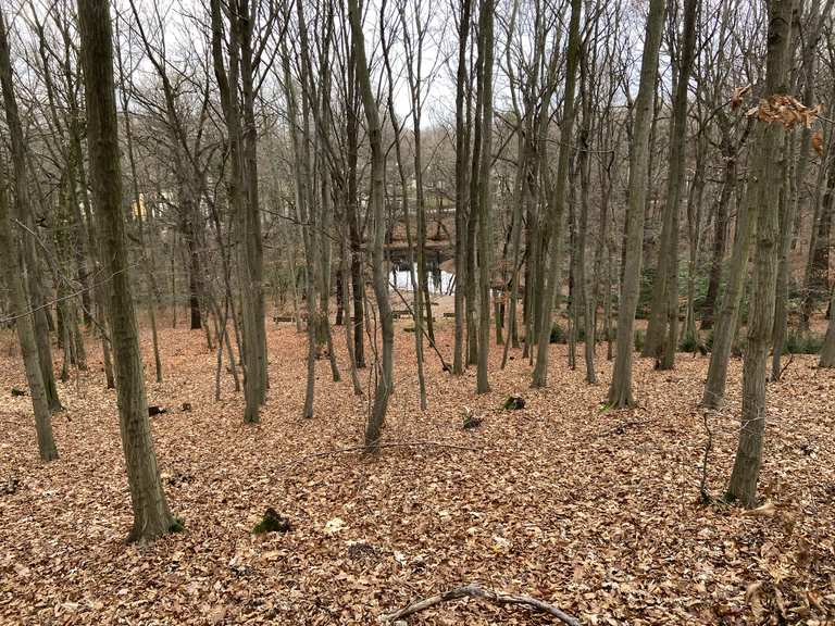 Schwarzes Teich Routes for Walking and Hiking Komoot