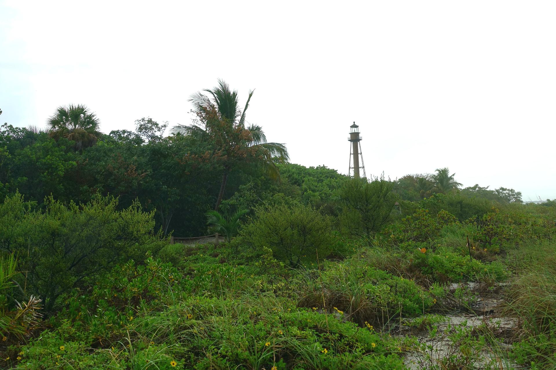 A tall lighthouse peeks above dense green trees under a cloudy sky.