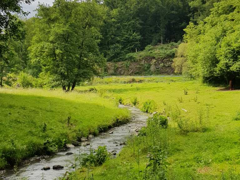 schöner Weg entlang des Gelbachs - Girod, Montabaur | MTB ...