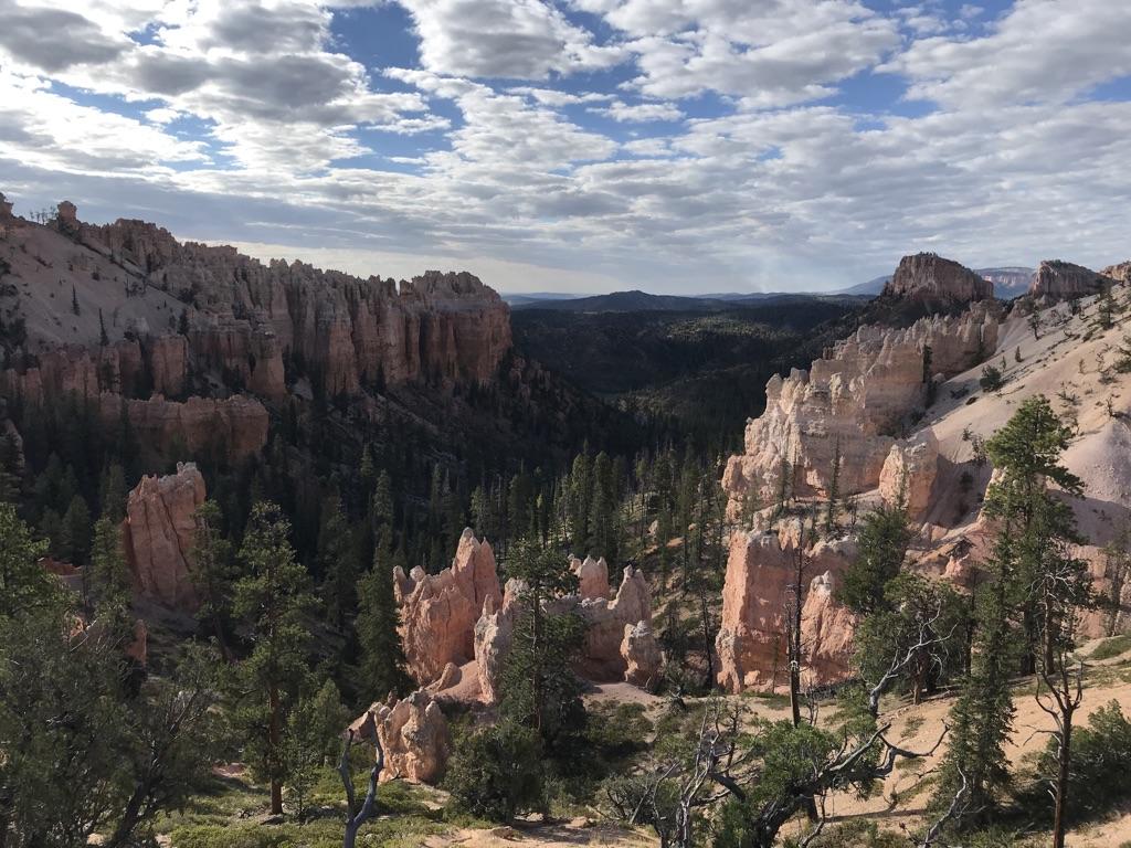 Expansive canyon view with towering rock formations and dense pine forests.
