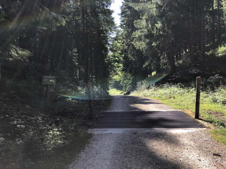 Kanonenpass MountainbikeTouren und Trails komoot