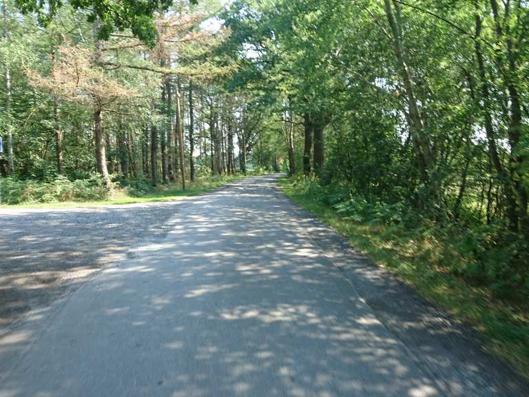 Idyllische Waldstrecke – Das Herz der Davert Runde von Münster