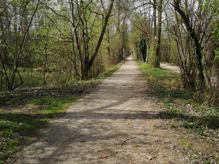 Maudacher Bruch bei Ludwigshafen - Cycle Routes and Map | Komoot