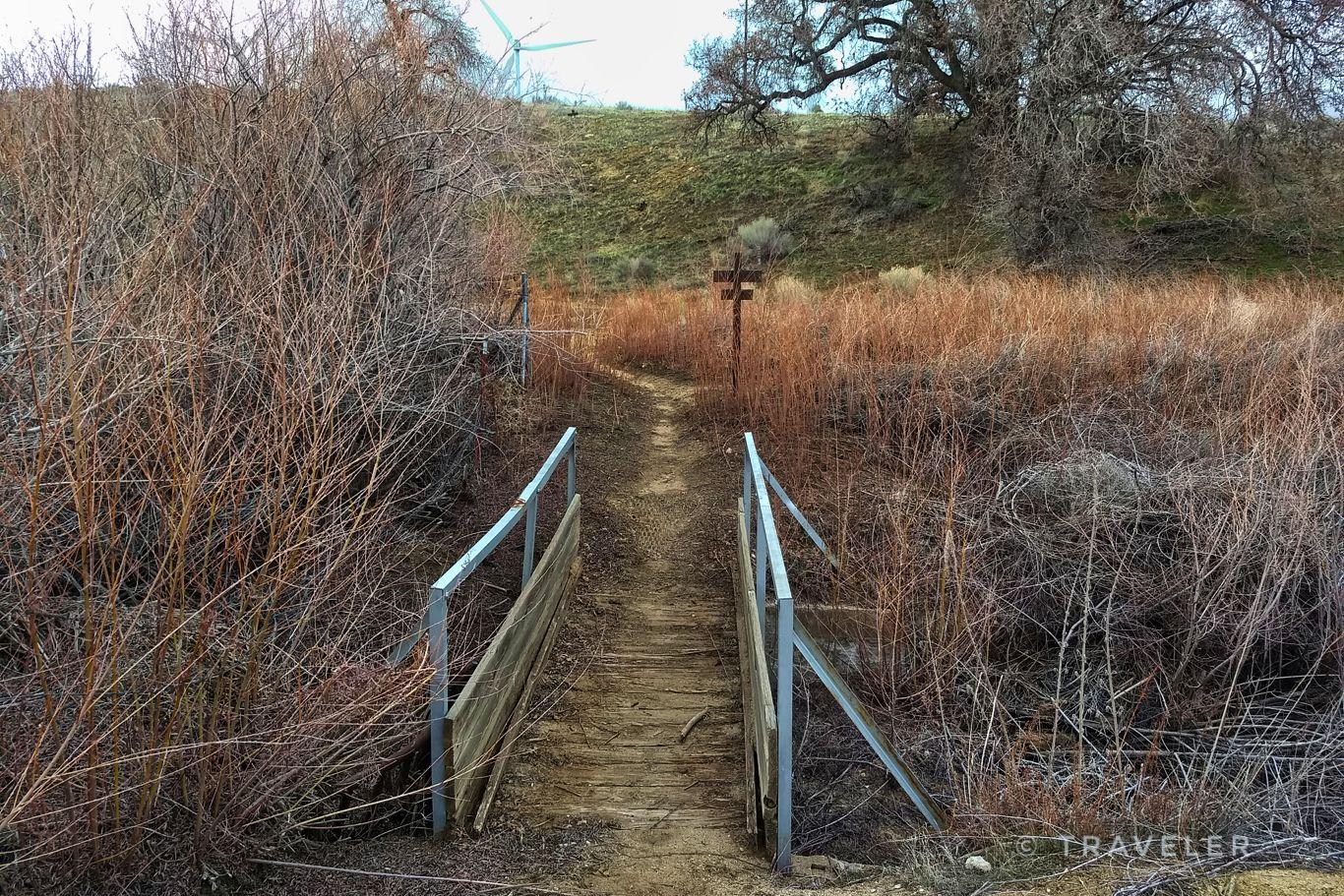 A small wooden bridge on a path through dense, dry, reddish-brown brush.